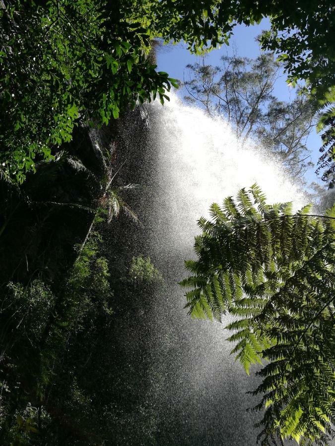 Springbrook Storybook Daire Dış mekan fotoğraf